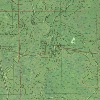 FL-MALLORY SWAMP NE: GeoChange 1951-2015 Preview 2