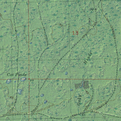 FL-COOKS HAMMOCK: GeoChange 1951-2015 Preview 3