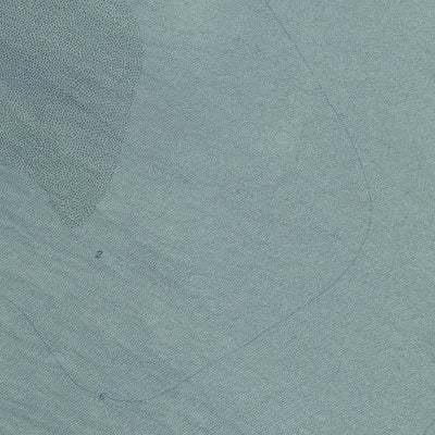 LA-FREEMASON ISLAND: GeoChange 1950-2010 Preview 3