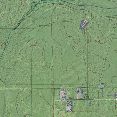FL-BAYWOOD: GeoChange 1946-2010 Preview 2