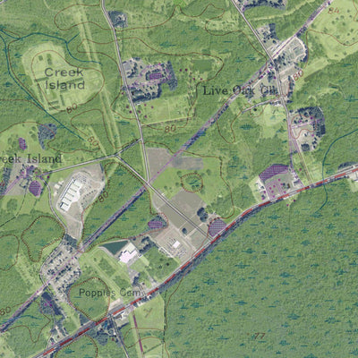 GA-WALTHOURVILLE: GeoChange 1947-2010 Preview 3