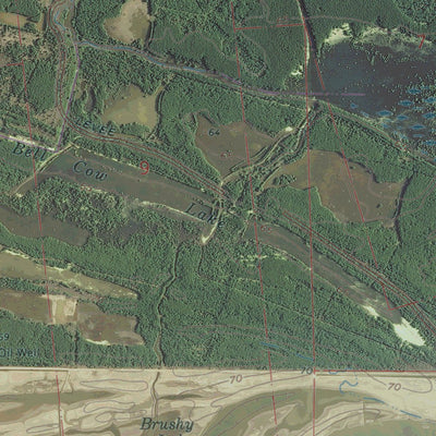 LA-MS-CHAMBLEE: GeoChange 1962-2013 Preview 2