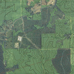 LA-TX-UNION SPRINGS: GeoChange 1979-2013 Preview 3