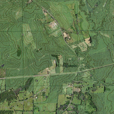 TX-CHINQUAPIN: GeoChange 1978-2012 Preview 3