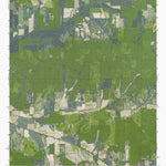 MS-ATLANTA: GeoChange 1971-2012 Preview 1