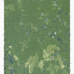 AL-POPLAR SPRINGS: GeoChange 1966-2013 Preview 1