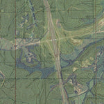 MS-TIE PLANT: GeoChange 1979-2012 Preview 2