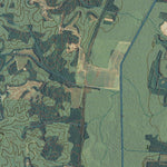 TN-BUENA VISTA: GeoChange 1947-2012 Preview 2