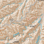 Coronado National Forest Quadrangle: EUREKA RANCH Preview 3