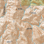 Coronado National Forest Quadrangle: MUSKHOG MOUNTAIN Preview 3