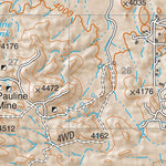 Coronado National Forest Quadrangle: MOUNT FAGAN Preview 2
