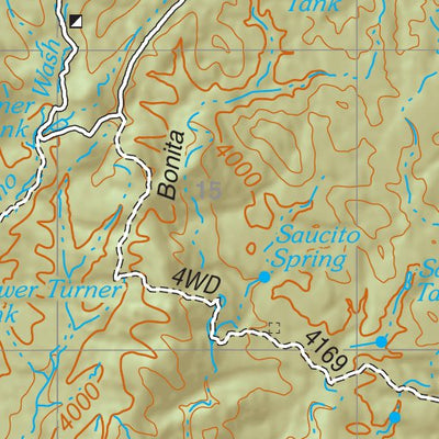 Coronado National Forest Quadrangle: BARTLETT MOUNTAIN Preview 2