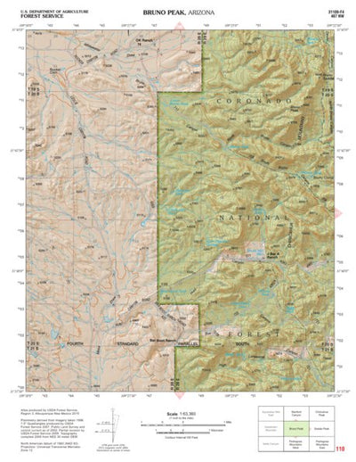 Coronado National Forest Quadrangle: BRUNO PEAK Preview 1