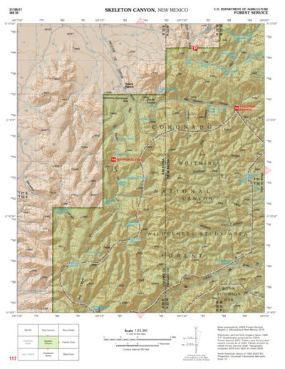 Coronado National Forest Quadrangle: SKELETON CANYON Preview 1