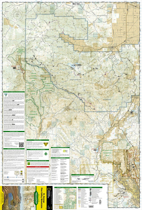 715 St George (west side) Preview 1