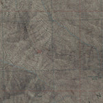 AZ-HARCUVAR PEAK: GeoChange 1951-2010 Preview 3
