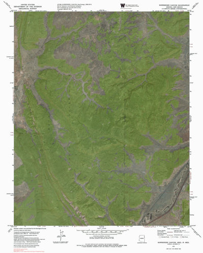 AZ-NM-SURRENDER CANYON: GeoChange 1969-2010 Preview 1