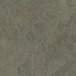 AZ-NAVAJO SPRINGS: GeoChange 1970-2010 Preview 2
