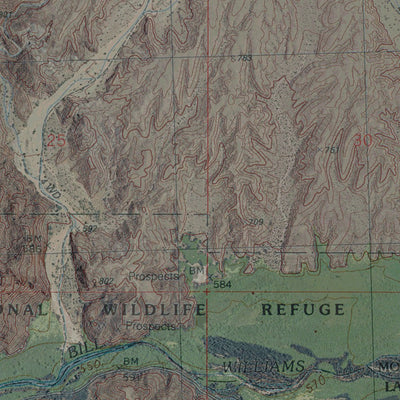 AZ-CASTANEDA HILLS SW: GeoChange 1964-2010 Preview 3