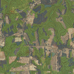 NC-VICKSBORO: GeoChange 1970-2012 Preview 3