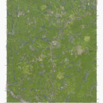 VA-BASSETT: GeoChange 1963-2012 Preview 1