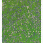 NC-LONE HICKORY: GeoChange 1963-2012 Preview 1
