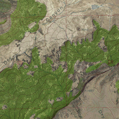 NM-JOHNSON PARK: GeoChange 1969-2014 Preview 2