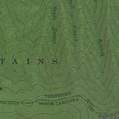 NC-TN-SILERS BALD: GeoChange 1963-2012 Preview 3