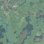 GA-NICHOLSON: GeoChange 1956-2009 Preview 2