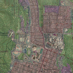 AZ-FLAGSTAFF WEST: GeoChange 1959-2010 Preview 3