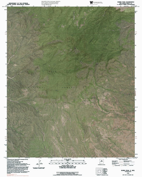 NM-BURRO PEAK: GeoChange 1989-2014 Preview 1