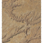 UT-MANCOS MESA: GeoChange 1981-2011 Preview 1