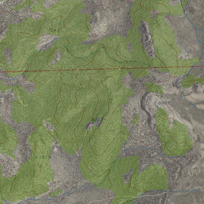 NV-HORSE CAMP SPRINGS: GeoChange 1972-2010 Preview 2