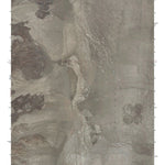 NV-REVEILLE SE: GeoChange 1967-2010 Preview 1