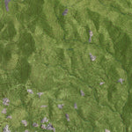 NV-GARDEN SPRING: GeoChange 1972-2010 Preview 2