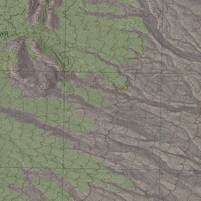 NV-FOREST HOME NE: GeoChange 1962-2010 Preview 2