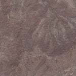 NV-IZZENHOOD RANCH: GeoChange 1963-2010 Preview 3