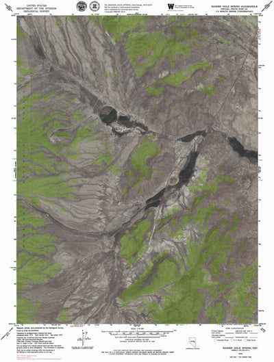 NV-BADGER HOLE SPRING: GeoChange 1972-2010 Preview 1