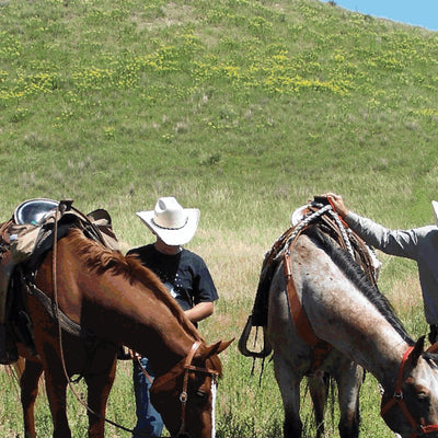 Nebraska & Samuel R. McKelvie National Forest Visitor Map (McKelvie NF Half) Preview 3