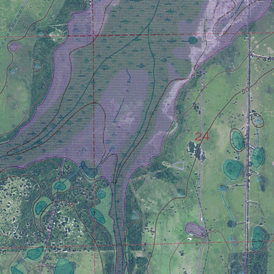 FL-LAKE POINSETT SW: GeoChange 1951-2010 Preview 3