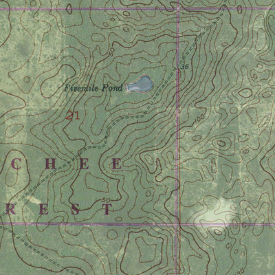 FL-LECANTO: GeoChange 1951-2010 Preview 3