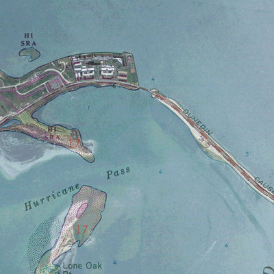 FL-DUNEDIN: GeoChange 1971-2010 Preview 2