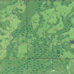 FL-CHIEFLAND SW: GeoChange 1951-2010 Preview 2