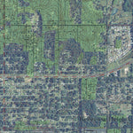 FL-BELLEVIEW: GeoChange 1964-2010 Preview 3