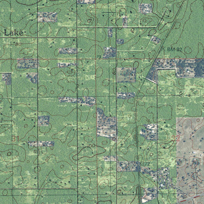 FL-ROMEO: GeoChange 1964-2010 Preview 3