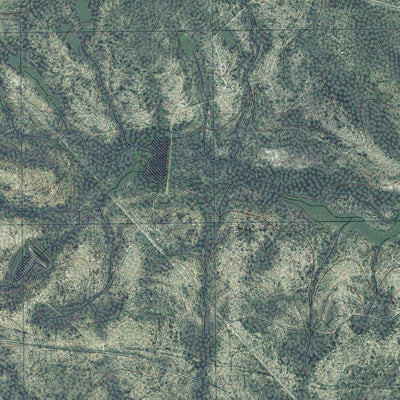 TX-FARIAS RANCH: GeoChange 1974-2012 Preview 2