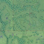 FL-BRONSON SW: GeoChange 1951-2010 Preview 2