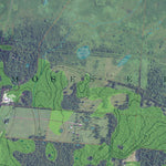 FL-MICANOPY: GeoChange 1964-2010 Preview 2