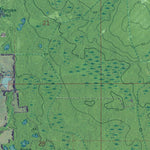 FL-FOURMILE LAKE: GeoChange 1967-2010 Preview 2