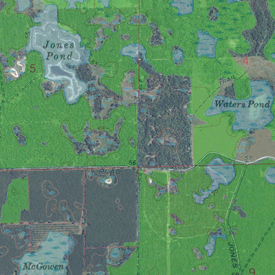 FL-NEWBERRY SW: GeoChange 1965-2010 Preview 3